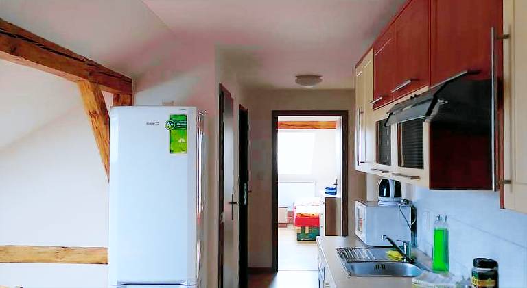 Apartment | Pets are welcome — photo 3