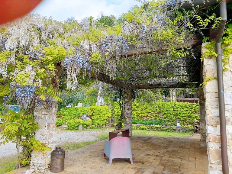Stone farmhouse with views of Todi — photo 2