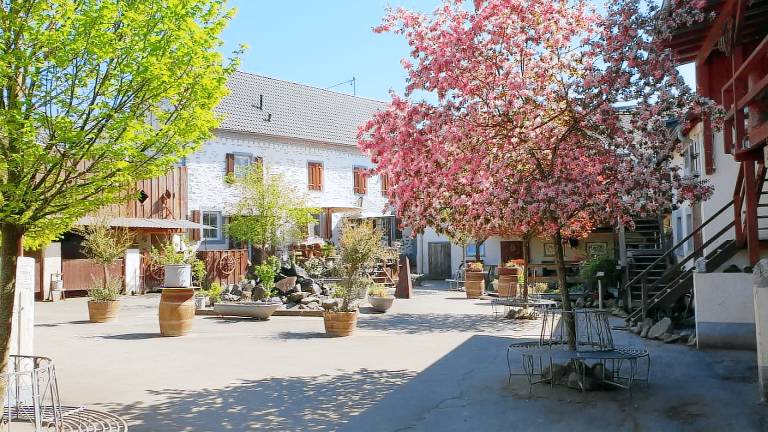 Ferienwohnung Münstermaifeld