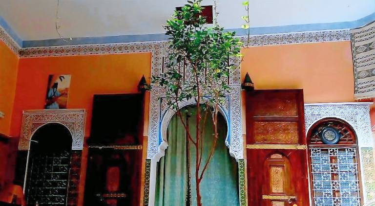 Riad Idrissi — photo 3