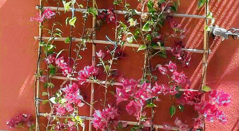 House with 2 rooms for 4 persons in Chiavari