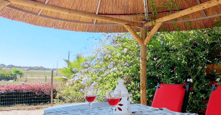 Ferienhaus  Odeceixe