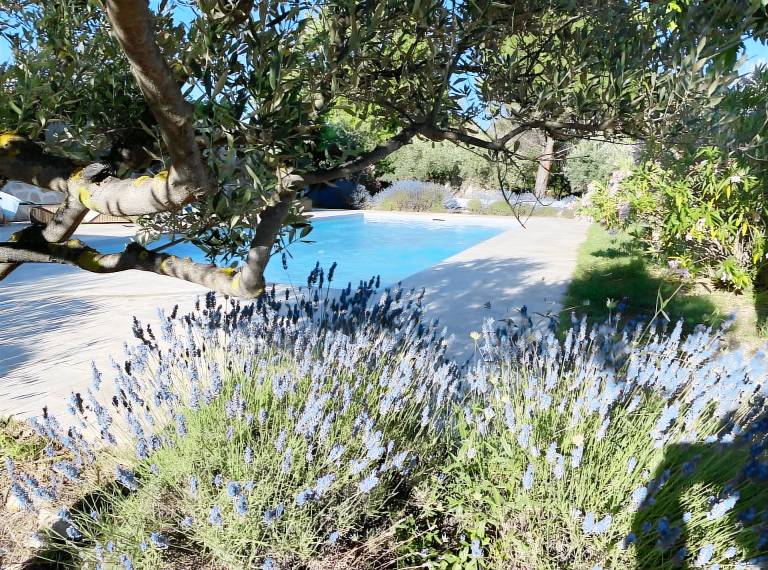 Ferienhaus in Flayosc für max. 10 Gäste