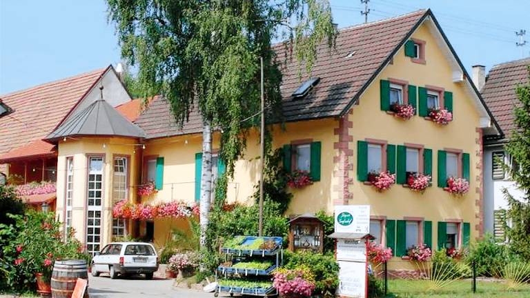 Ferienwohnung  Ringsheim