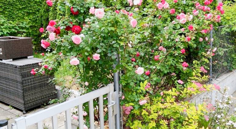 Apartment | Pet-friendly in Vienna