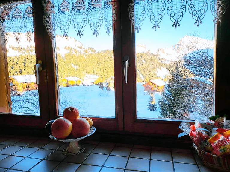 Appartement Le Praz de Lys