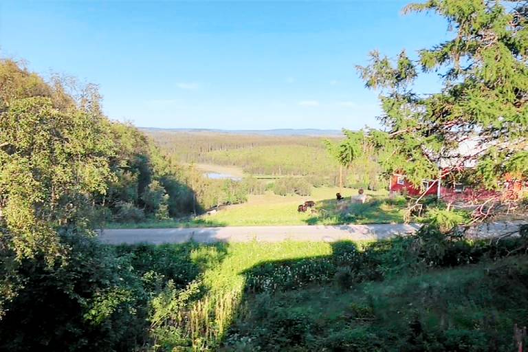 Vacation home with 3 rooms for 6 persons — photo 3