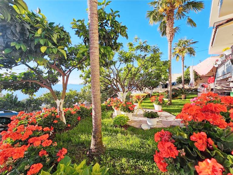 Luxury Villa with Stunning Views in Vlore — photo 5