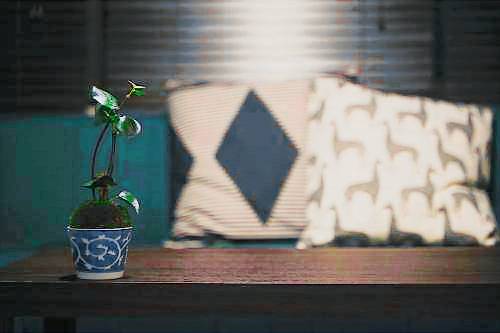 foto4