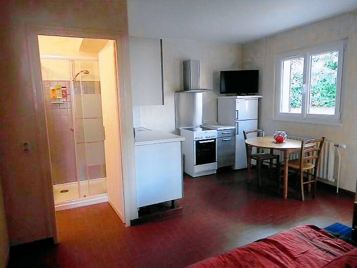 Apartment with yard, patio & barbeque | Mountain view — photo 3
