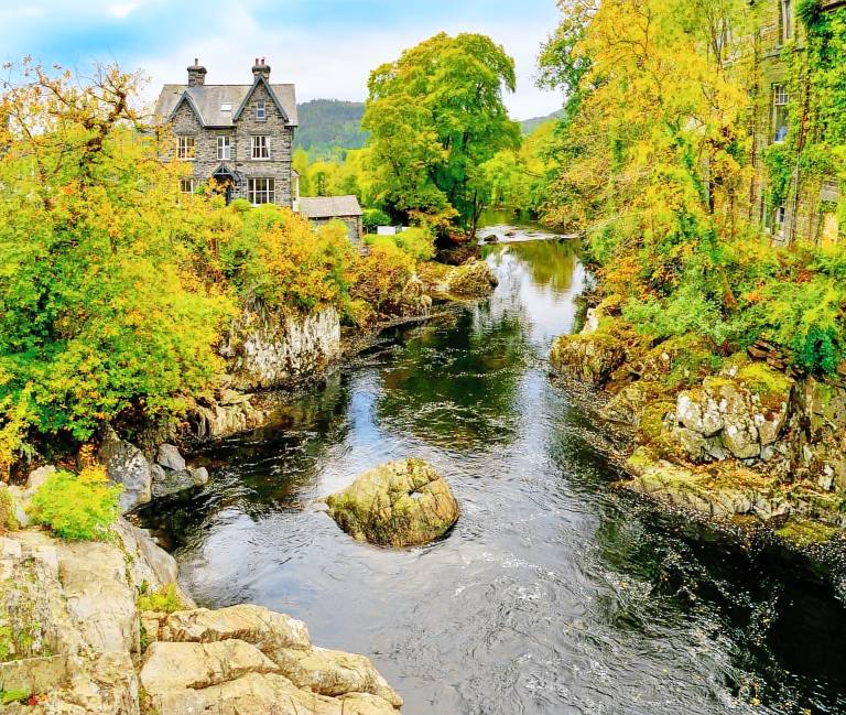 Cottage with 2 rooms for 6 persons — photo 4