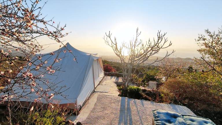 Camping Arafo