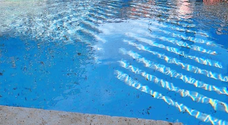 Rental apartment with pool | Dogs allowed — photo 4