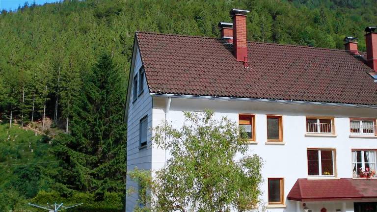 Ferienwohnung  Todtnau