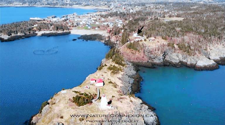 House Grand Manan