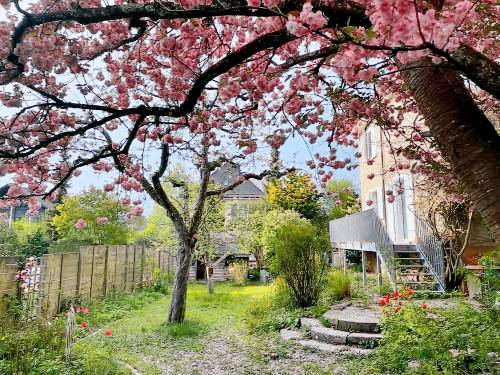 Bed and breakfast  Zuchwil
