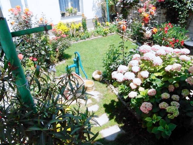 Apartament  Center