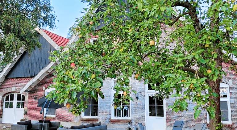 80 m&sup2; Ferienhaus