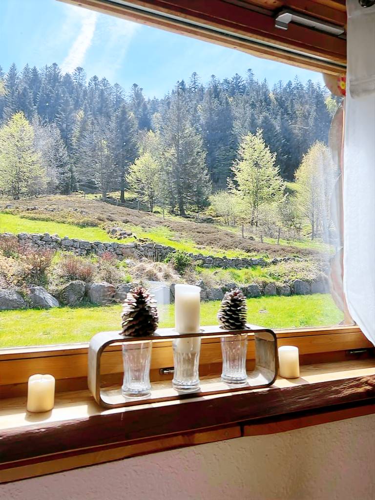 Child-friendly beautiful chalet with garden, sauna & BBQ | Panoramic view | Pets are welcome — photo 3