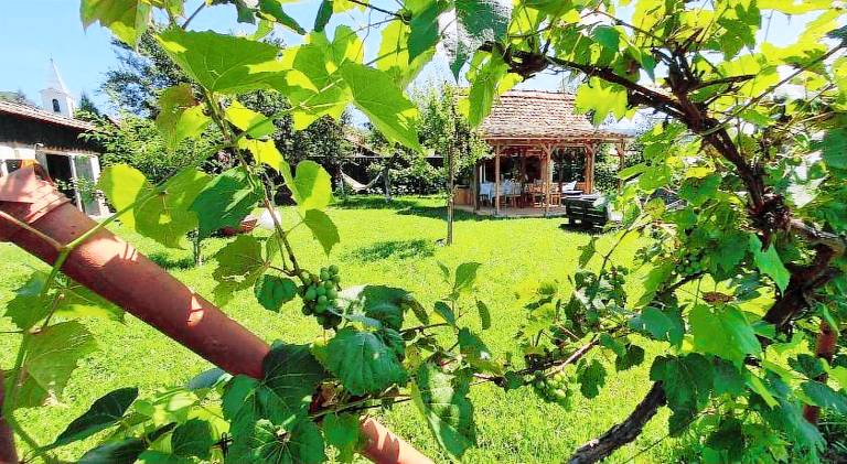 Valchid Guest House in Sibiu
