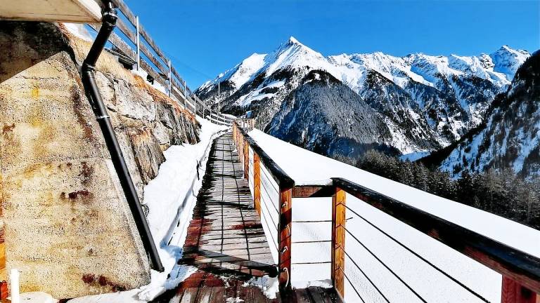 Ferienhaus mit Hund in Dornauberg, Ginzling f&uuml;r max. 2 Personen