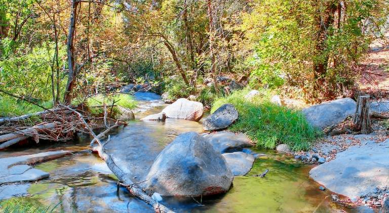 Beautiful vacation home | Pet-friendly in Oakhurst, CA
