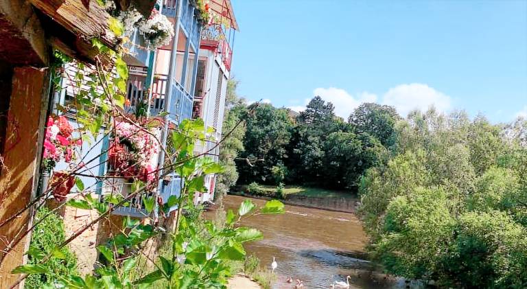 Charming apartment | Dogs allowed in Bad Kreuznach