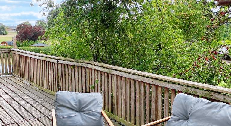 House with grill, patio & yard — photo 4