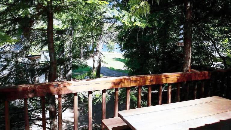 Cabin Loon Lake