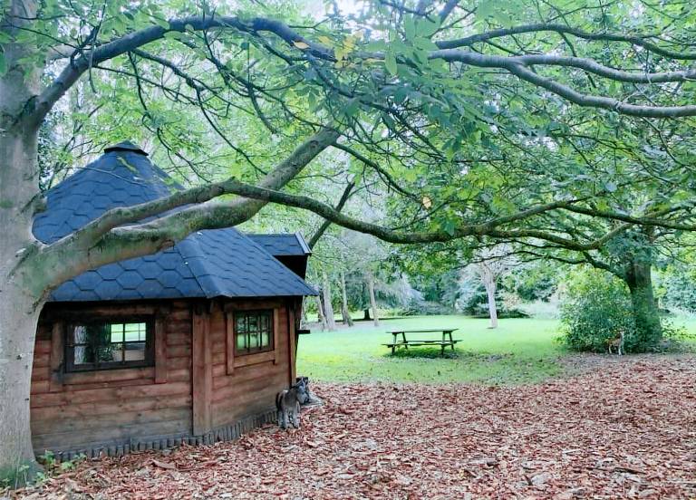 Cabin  Wood Street