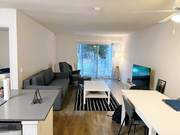 Apartment Mountain View
