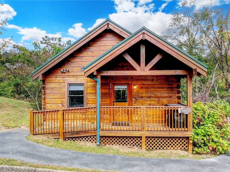 Cabin with private pool — photo 4