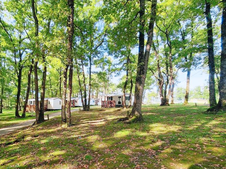 Mobile home with patio & heated pool | Dogs allowed — photo 4