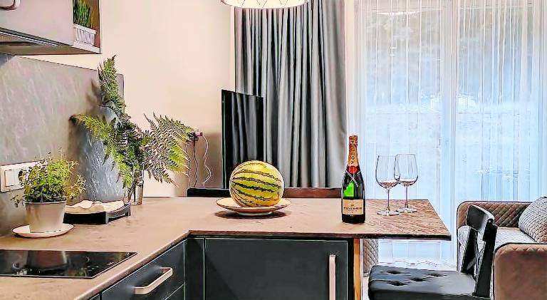 Holiday apartment with patio | Pet-friendly in Klaipeda