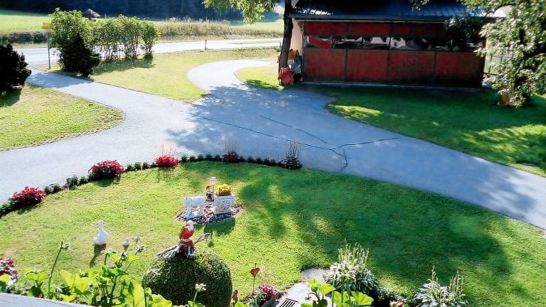 foto2