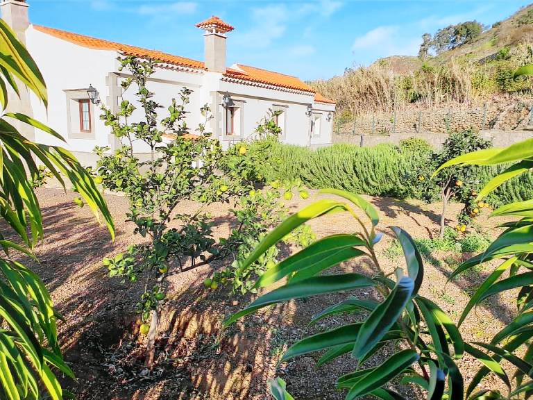 Ferienhaus in Vega de San Mateo für max. 8 Personen