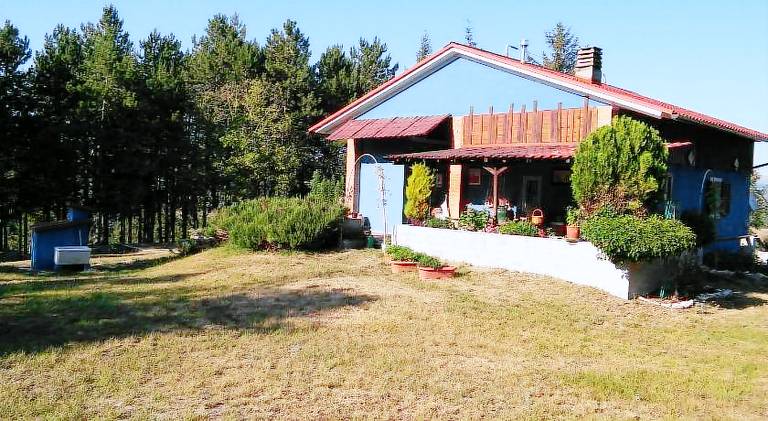 Vacation home | Pets allowed — photo 5