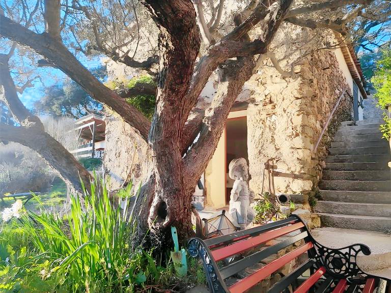 Ferienhaus in Collobrières f&uuml;r max. 4 Personen