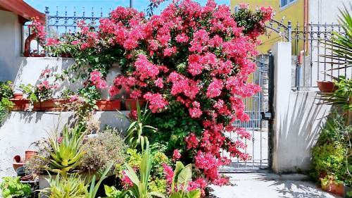 Bed & Breakfast  Orroli