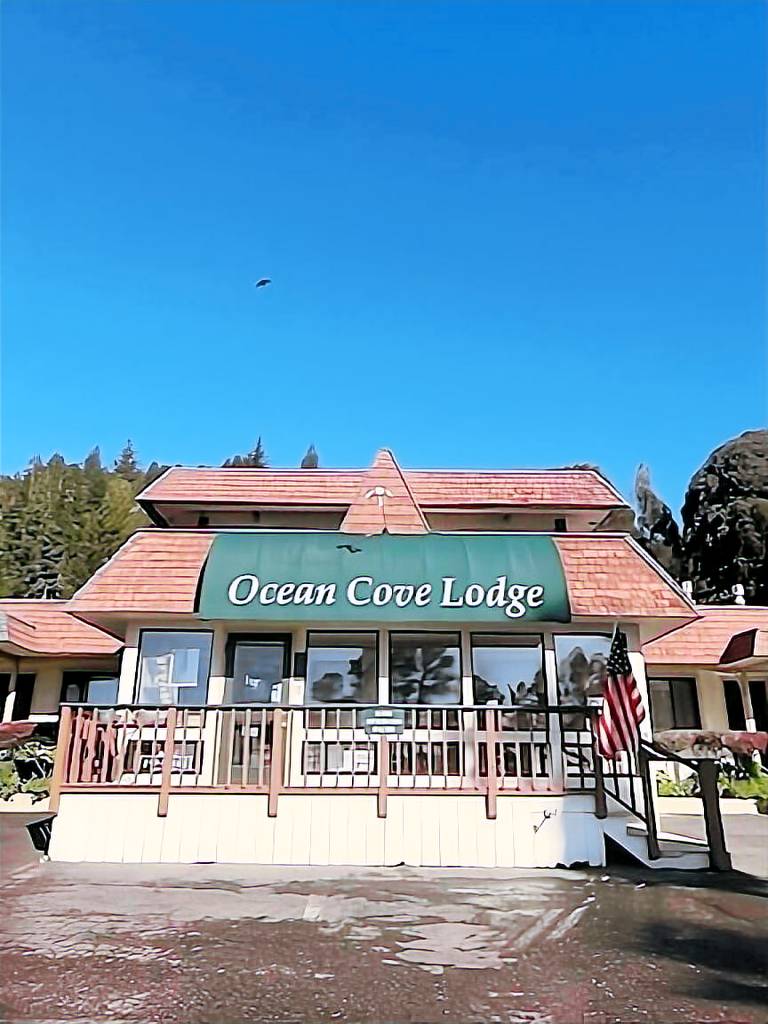 Ocean Cove Lodge — photo 4