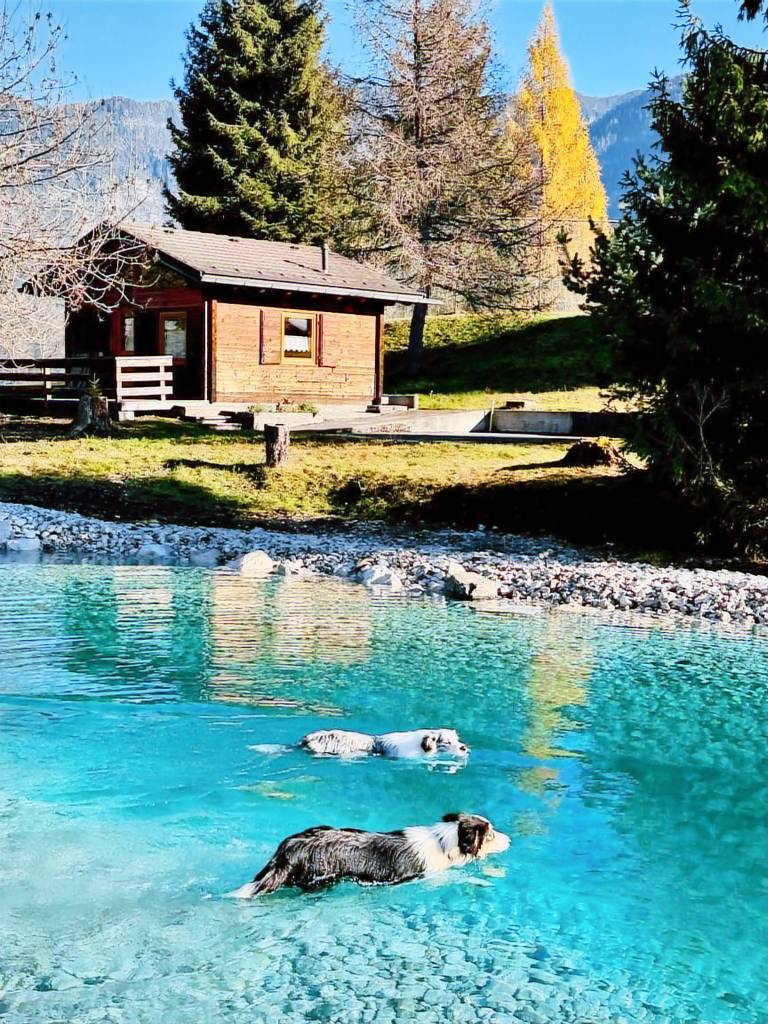 mit Hund in Tai di Cadore, Pieve di Cadore f&uuml;r max. 2 Personen
