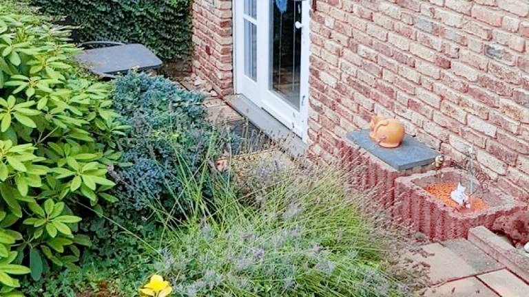 Ferienwohnung  Bornheim