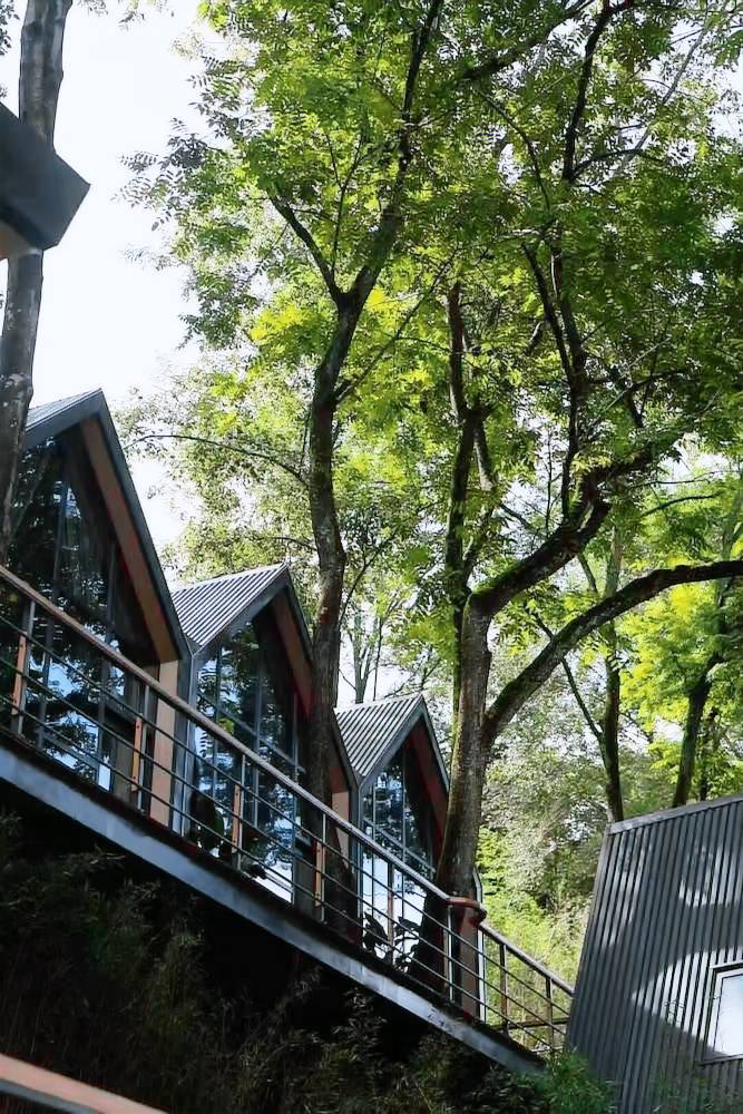 Bed and breakfast  Dujiangyan