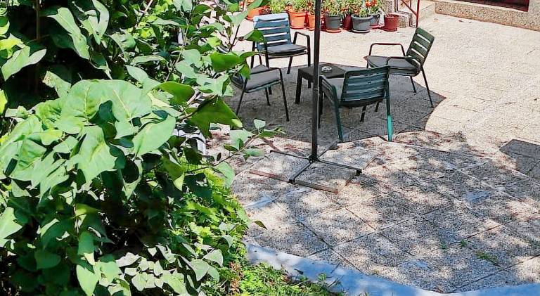 Apartman ZAGREB, REBRO, MAKSIMIR, CENTAR Marko — photo 3
