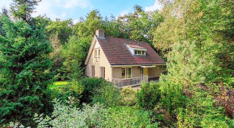 Big vacation home with pool | Pets are welcome in Garderen