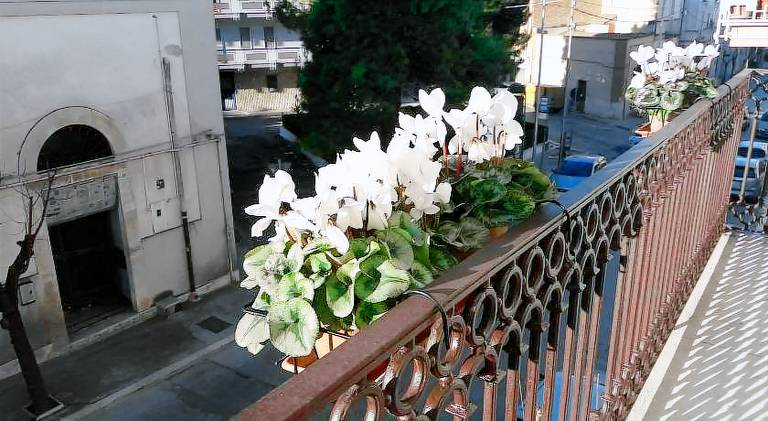 B&B Saffi in Trani