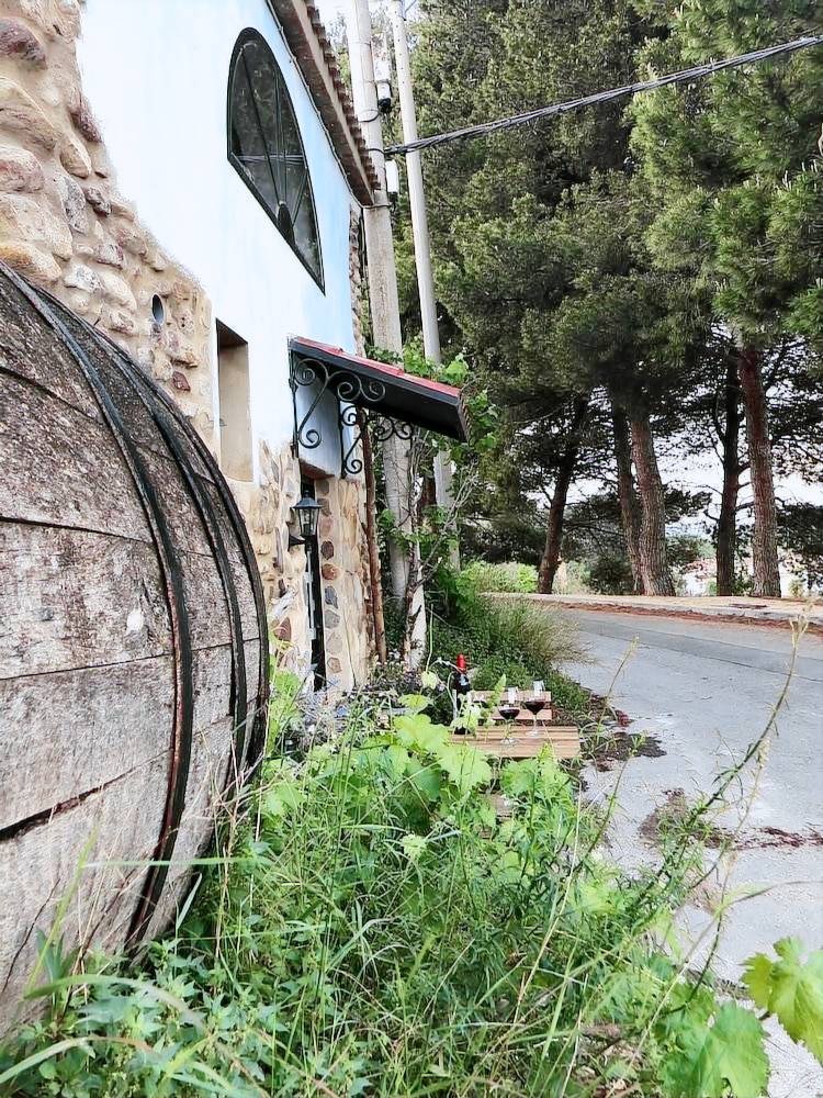 Casa Ainzón