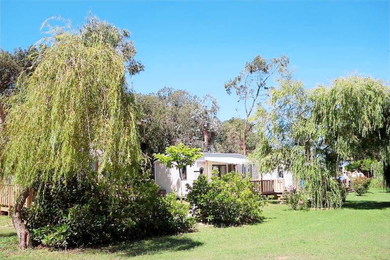 Camping  Olmeto