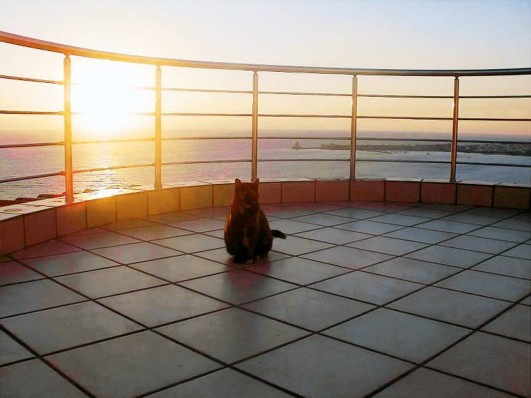 Fully equipped beautiful vacation home with terrace, pool & yard | Pets allowed in Pylos-Nestoras