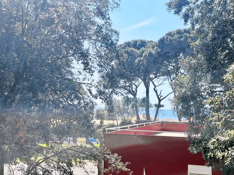 Holiday apartment with 1 room for 3 persons — photo 2